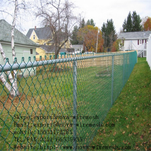 Extruded vinyl chain link fence