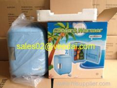 6L mini fridge/car cooler bag/thermo cooler bag/car freezer