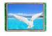LED backlight high resolution 8 " TFT LCD display with touch panel