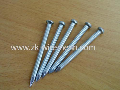 the zekai Concrete Nails