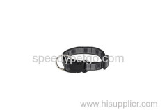 Speedy Pet Brand Dog Collars pet collar pet products dog accessory