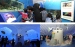 New style customized exhibition inflatable tents