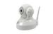 White SMTP FTP DHCP Network 30fps Indoor IP Camera H.264 RoHS FCC