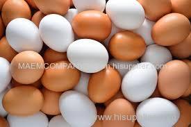 FARM FRESH CHICKEN EGGS