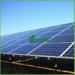 34MW Polycrystalline Grid Connected Solar Large Scale Photovoltaic Power Plants