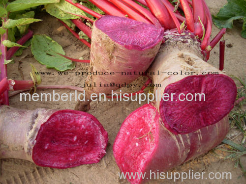 anthocyanin radish red colorant