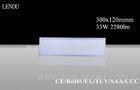 Dimmable 33W 2280lm Cold White LED Flat Panel Lights 300 x 1200mm