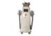 Vertical Cryolipolysis Body Sculpting Machine / Cellulite Removal Equipment