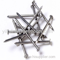 Common Wire Nails Good Quality