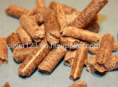 Small Wood Particle Pellet Mill/Wood Shavings Pellet Mill/New Type Wood Shavings Pellet Mill