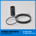 NdFeB ring magnet/bonded magnet/ neodymium magnet