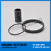 Neodymium Iron Boron Magnet