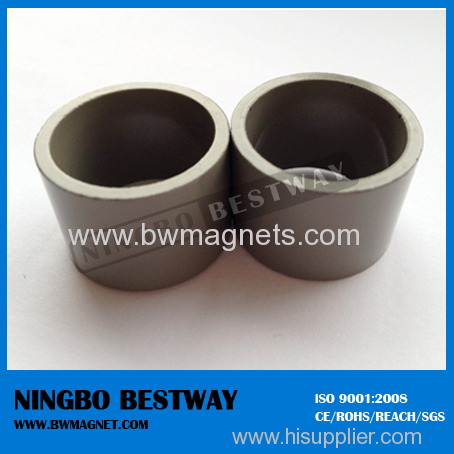 Pressing Bonded NdFeB magnet for motor fan