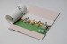 Custom textured paper cover die cutting and gold stamping softcover or softback book with ribbons