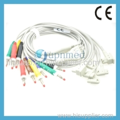 Philips one piece 10 lead wires banana