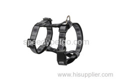 Durable Pet Harness in Set