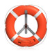 Marine 2.5kg & 4.3kg Life Buoy/ Life ring/ rescue ring
