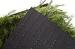 50mm Anti Abrasion Sports Astro Turf Durable FIFA Artificial Grass For Football