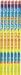 20 shots 1.4G Consumer Roman Candle Fireworks UN 0336 Wedding Display Fireworks