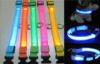 Waterproof Adjustable Blue Led Pet Dog Collar High Brightness S - M - L - XL Size