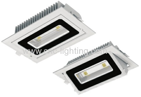 20-30W Swivel LED Downlight (SMD5730 or COB leds)