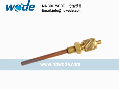 Access valve for air conditioner