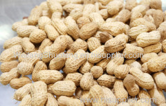 100% Pure non-GMO Refined and Crude Peanut/Groundnut Oil from China