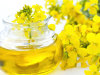 100% Pure non-GMO Refined and Crude Rapeseed/Canola Oil/ Colza Oil from China