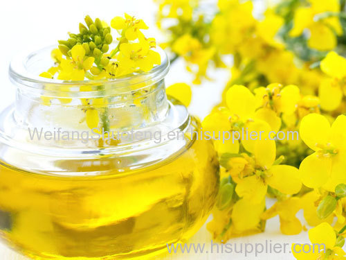 100% Pure non-GMO Refined and Crude Rapeseed/Canola Oil/ Colza Oil from China