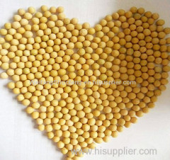 100% Pure non-GMO Dry Soybean for food or for Sprouting from China