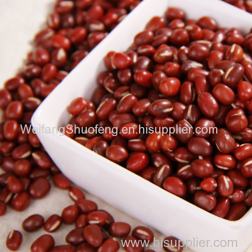 100% Pure non-GMO Dry Red Beans / Adzuki Beans for food or for Sprouting from China