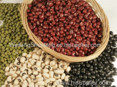 100% Pure non-GMO Dry Red Beans / Adzuki Beans for food or for Sprouting from China