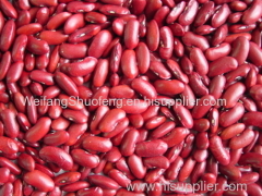 100% Pure non-GMO Dry Red kidney Beans for food or for Sprouting from China