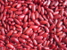 100% Pure non-GMO Dry Red kidney Beans for food or for Sprouting from China