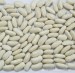 100% Pure non-GMO Dry White kidney Beans for food or for Sprouting from China