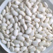 100% Pure non-GMO Dry White kidney Beans for food or for Sprouting from China