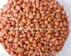 100% Pure non-GMO Dry and Raw Peanut kernels from China