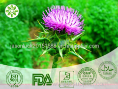 Milk Thistle Extract Milk Thistle Extract