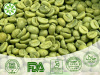 Green Coffee Bean Extract Green Coffee Bean Extract