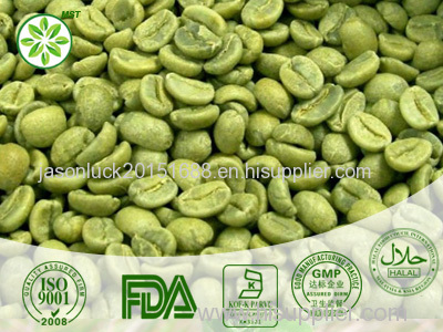 Green Coffee Bean Extract Green Coffee Bean Extract