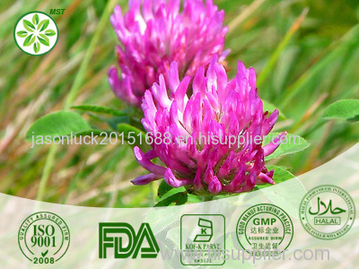 Red Clover Extract Red Clover Extract