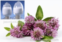 Red Clover Extract Red Clover Extract