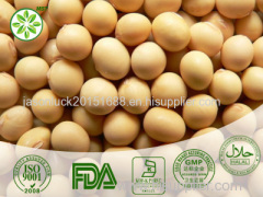 Soybean Extract Soybean Extract