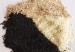100% Pure 2014 Crop Sesame seeds, white sesame, black sesame with best quality and great price