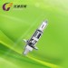 car halogen bulb H1