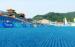 All Weather Running Track Resurfacing Athletic Track Surfaces Professional