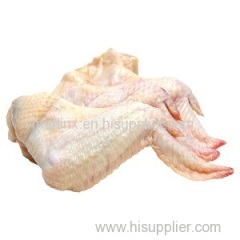 Halal frozen chicken wings available at best prices