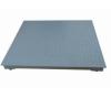 Y Series Mild Steel Floor Scale