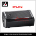 12" Two-Way Floor Monitor Speaker STX-12M
