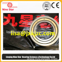 China Manufacturer Electrically insulated bearing